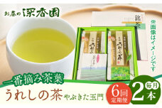 【6回定期便】一番摘み茶葉使用 うれしの茶 2本入（やぶきた 玉門 100g×2本） /お茶の深香園 [UAF008] 茶 お茶 緑茶 日本茶 煎茶