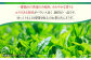 【6回定期便】一番摘み茶葉使用 うれしの茶 2本入（やぶきた 玉門 100g×2本）茶 お茶 緑茶 日本茶 煎茶