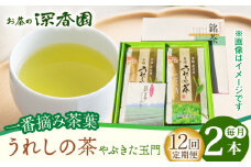 【12回定期便】一番摘み茶葉使用 うれしの茶 2本入（やぶきた 玉門 100g×2本） /お茶の深香園 [UAF009] 茶 お茶 緑茶 日本茶 煎茶