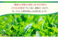 【一番摘み茶葉使用】うれしの茶 3本入（やぶきた 白水 100g×3本）茶 お茶 緑茶 日本茶 煎茶