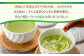 【一番摘み茶葉使用】うれしの茶 3本入（やぶきた 白水 100g×3本）茶 お茶 緑茶 日本茶 煎茶