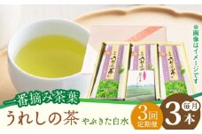 【3回定期便】一番摘み茶葉使用 うれしの茶 3本入（やぶきた 白水 100g×3本） /お茶の深香園 [UAF011] 茶 お茶 緑茶 日本茶 煎茶