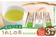 【6回定期便】一番摘み茶葉使用 うれしの茶 3本入（やぶきた 白水 100g×3本） /お茶の深香園 [UAF012] 茶 お茶 緑茶 日本茶 煎茶