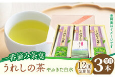 【12回定期便】一番摘み茶葉使用 うれしの茶 3本入（やぶきた 白水 100g×3本） /お茶の深香園 [UAF013] 茶 お茶 緑茶 日本茶 煎茶
