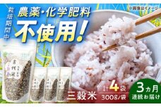 【3回定期便】自然農法で育てた 古代米 三穀米 1.2kg（300g×4袋） /永尾 忠則 [UAS014] 雑穀 雑穀米 米 お米