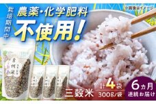 【6回定期便】自然農法で育てた 古代米 三穀米 1.2kg（300g×4袋）/永尾 忠則 [UAS015] 雑穀 雑穀米 米 お米
