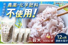 【12回定期便】自然農法で育てた 古代米 三穀米 1.2kg（300g×4袋）/永尾 忠則 [UAS016] 雑穀 雑穀米 米 お米
