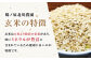 栽培期間中農薬不使用 令和6年産 伊勢ヒカリ（イセヒカリ） 玄米 10kg /鶴ノ原北川農園 [UDL007] 米 お米 こめ 
