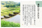 栽培期間中農薬不使用 令和6年産 伊勢ヒカリ（イセヒカリ） 玄米 10kg /鶴ノ原北川農園 [UDL007] 米 お米 こめ 