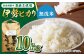 栽培期間中農薬不使用 令和7年産 伊勢ヒカリ（イセヒカリ） 精米（無洗米） 10kg /鶴ノ原北川農園 [UDL009] 白米 