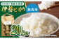 栽培期間中農薬不使用 令和6年産 伊勢ヒカリ（イセヒカリ） 精米（無洗米） 20kg /鶴ノ原北川農園 [UDL010] 白米 