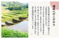 栽培期間中農薬不使用 令和6年産 伊勢ヒカリ（イセヒカリ） 精米（無洗米） 20kg /鶴ノ原北川農園 [UDL010] 白米 