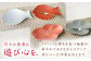 【有田焼】錦雲母 シルバー・朱 変り銘々皿 4種セット /宮崎陶器 [UBE013] 焼き物 やきもの 器