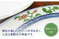【有田焼】麦絵小判皿 5枚セット /宮崎陶器 [UBE014] 焼き物 やきもの 器