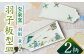 【有田焼】羽子板型皿2柄セット /宮崎陶器 [UBE020] 焼き物 やきもの 器