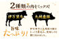 【伊万里牛使用】ごぼう入り煮込みハンバーグ 4個 /レストガーデン・ミニ [UDQ006] ハンバーグ 伊万里牛 牛肉 牛 豚肉