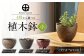 【宝寿窯】植木鉢 ( 小 ) carving [UCN026]