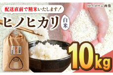 【先行予約】【10月中旬以降順次発送】令和6年産 ヒノヒカリ 白米 10kg 配送前精米/江口農園[UBF017] 白米 米 お米 精米 佐賀県産