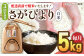 【2025年4月発送開始】【3回定期便】令和6年産 さがびより 白米 5kg＜14年連続特A評価＞ 配送前精米/江口農園[UBF