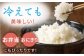 【3回定期便】さがびより 白米 10kg＜15年連続特A評価＞ 配送前精米/江口農園[UB