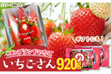 佐賀のブランドいちご いちごさん 約920g（約230g×4p）/中村青果店 [UDK006] いちご イチゴ 苺 果物 フルーツ