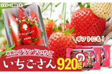 【先行予約】佐賀のブランドいちご いちごさん 約920g（約230g×4p）/中村青果店 [UDK006] いちご イチゴ 苺 果物 フルーツ