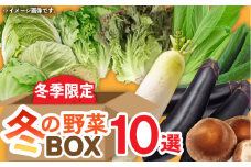 【武雄の八百屋おすすめ】季節限定 冬の野菜ボックス10選 /中村青果店 [UDK008] 野菜 野菜セット 大根 キャベツ レタス グリーンリーフ しいたけ 白菜 チンゲン菜 ナス キュウリ