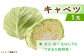 【武雄の八百屋おすすめ】季節限定 冬の野菜ボックス10選 /中村青果店 [UDK008] 野菜 野菜セット 大根 キャベツ レタ
