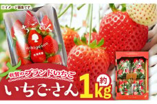 佐賀のブランドいちご いちごさん 約1kg（約250g×4p）/中村青果店 [UDK007] いちご イチゴ 苺 果物 フルーツ