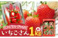 佐賀のブランドいちご いちごさん 約1kg（約250g×4p）/中村青果店 [UDK007] いちご イチゴ 苺 果物 フルーツ