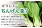 【12回定期便】自家製野菜も使用 パウンドケーキ 3種セット ( チンゲン菜 ココア プレーン ) /おかわりのうえん [UDD