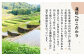 栽培期間中農薬不使用 令和6年産 豊コシヒカリ 玄米 10kg /鶴ノ原北川農園 [UDL016] 米 お米 こめ 玄米 ブラン