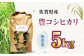 栽培期間中農薬不使用 令和6年産 豊コシヒカリ 精米 無洗米 5kg /鶴ノ原北川農園 [UDL018] 白米 米 お米 こめ 