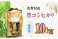栽培期間中農薬不使用 令和6年産 豊コシヒカリ 精米 無洗米 10kg /鶴ノ原北川農園 [UDL019] 白米 米 お米 こめ