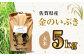 栽培期間中農薬不使用 令和6年産 金のいぶき 玄米 5kg /鶴ノ原北川農園 [UDL021] 米 お米 こめ 玄米 ブランド米