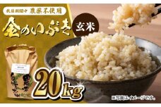 栽培期間中農薬不使用 令和6年産 金のいぶき 玄米 20kg /鶴ノ原北川農園 [UDL023] 米 お米 こめ 玄米 ブランド米
