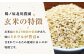 栽培期間中農薬不使用 令和6年産 金のいぶき 玄米 20kg /鶴ノ原北川農園 [UDL023] 米 お米 こめ 玄米 ブランド