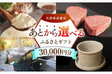 【あとから選べる】武雄市ふるさとギフト 寄附額3万円分 [UZZ001] あとから寄附 あとから寄付 選べるギフト あとからセレクト 佐賀牛 牛肉 武雄焼 やきもの 温泉湯豆腐 豆腐 米 さがびより