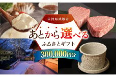 【あとから選べる】武雄市ふるさとギフト 寄附額30万円分 [UZZ009] あとから寄附 あとから寄付 選べるギフト あとからセレクト 佐賀牛 牛肉 武雄焼 やきもの 温泉湯豆腐 豆腐 米 宿泊券 観光