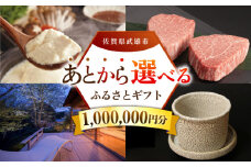【あとから選べる】武雄市ふるさとギフト 寄附額100万円分 [UZZ011] あとから寄附 あとから寄付 選べるギフト あとからセレクト 佐賀牛 牛肉 武雄焼 やきもの 温泉湯豆腐 豆腐 米 宿泊券 観光