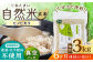 【6回定期便】栽培期間中 農薬・化学肥料不使用 自然米 玄米 3kg（ヒノヒカリ 1kg×3袋）/自然庵 [UCQ023]