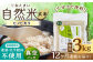 【12回定期便】栽培期間中 農薬・化学肥料不使用 自然米 玄米 3kg（ヒノヒカリ 1kg×3袋）/自然庵 [UCQ024]