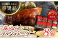 【伊万里牛使用】ごぼう入り煮込みハンバーグ 8個入りギフトボックス /レストガーデン・ミニ [UDQ012]