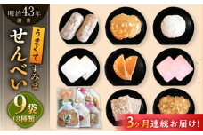 【3回定期便】うまくてすみませんべい バラエティ詰合せ 8種 計9袋 /恵比須堂 [UBQ002]