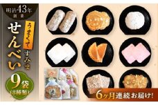 【6回定期便】うまくてすみませんべい バラエティ詰合せ 8種 計9袋 /恵比須堂 [UBQ003]