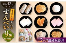 【12回定期便】うまくてすみませんべい バラエティ詰合せ 8種 計9袋 /恵比須堂 [UBQ004]