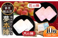 【全国菓子大博覧会 審査総長賞受賞】夢本陣 10枚（2種×5枚） /恵比須堂 [UBQ009]