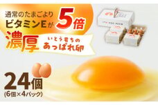 【うみたて新鮮】いとう君ちのあっぱれ卵 24個（6個×4パック）ギフトBOX /いとう養鶏場 [UAQ001]