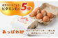 【うみたて新鮮】いとう君ちのあっぱれ卵 24個（6個×4パック）ギフトBOX 卵 たまご パック卵 鶏卵