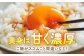 【3回定期便】いとう君ちのあっぱれ卵 80個（76個+割れ補償4個）卵 たまご 鶏卵